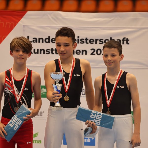 Kunstturn Landesmeisterschaften