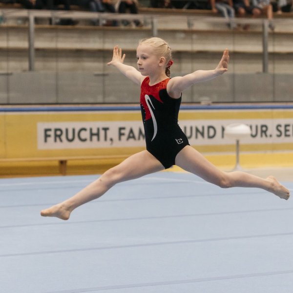 Landesmeisterschaft und Jugend-Landesmeisterschaft Kunstturnen - Ergebnisse