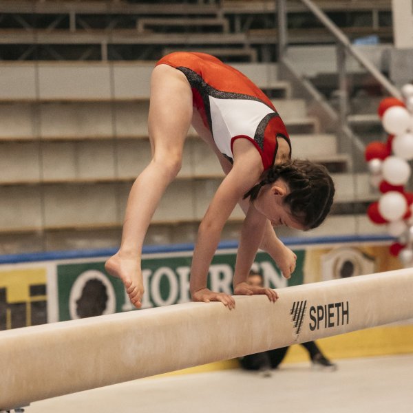 Landesmeisterschaft und Jugend-Landesmeisterschaft Kunstturnen - Ergebnisse